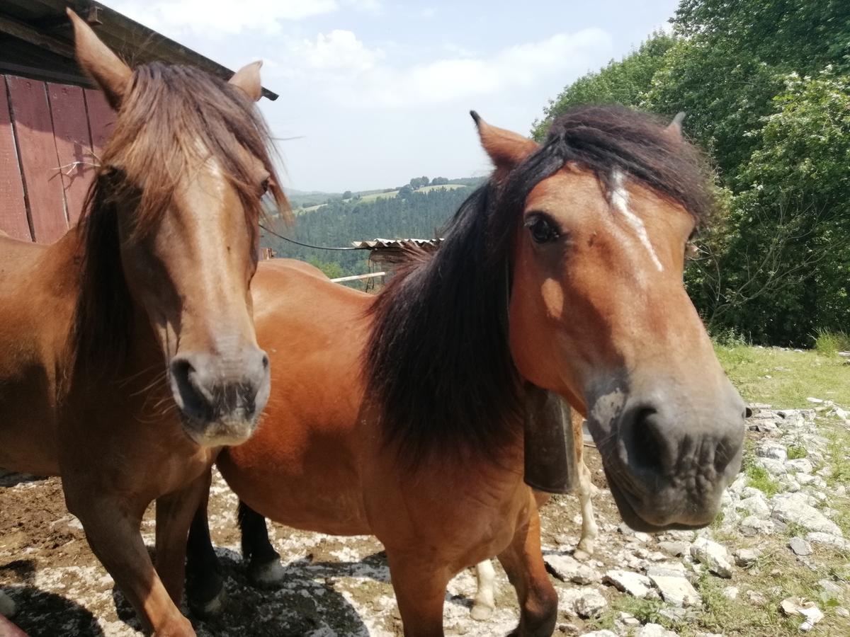 Agroturismo Pagoederraga Орио Экстерьер фото