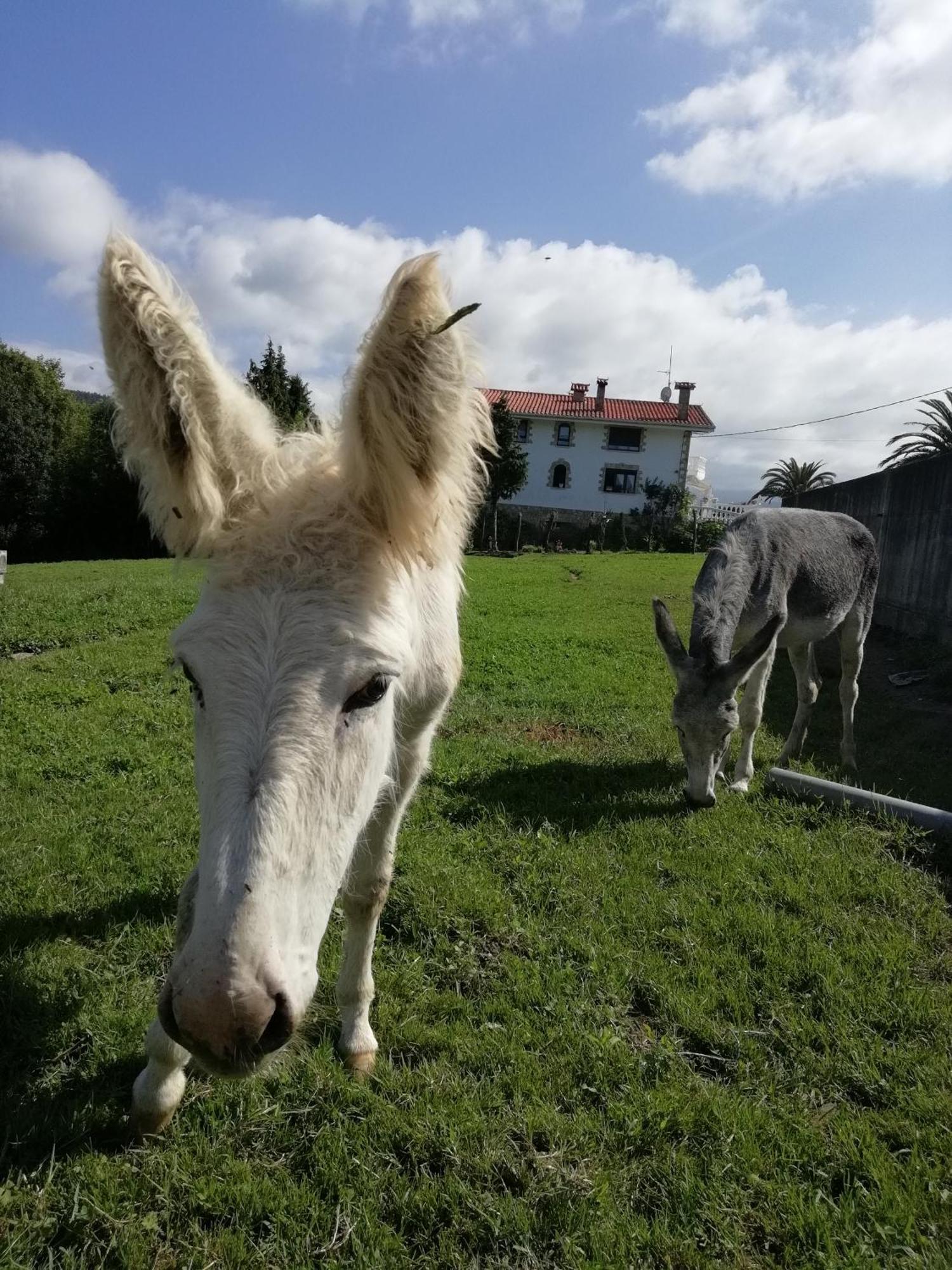 Agroturismo Pagoederraga Орио Экстерьер фото