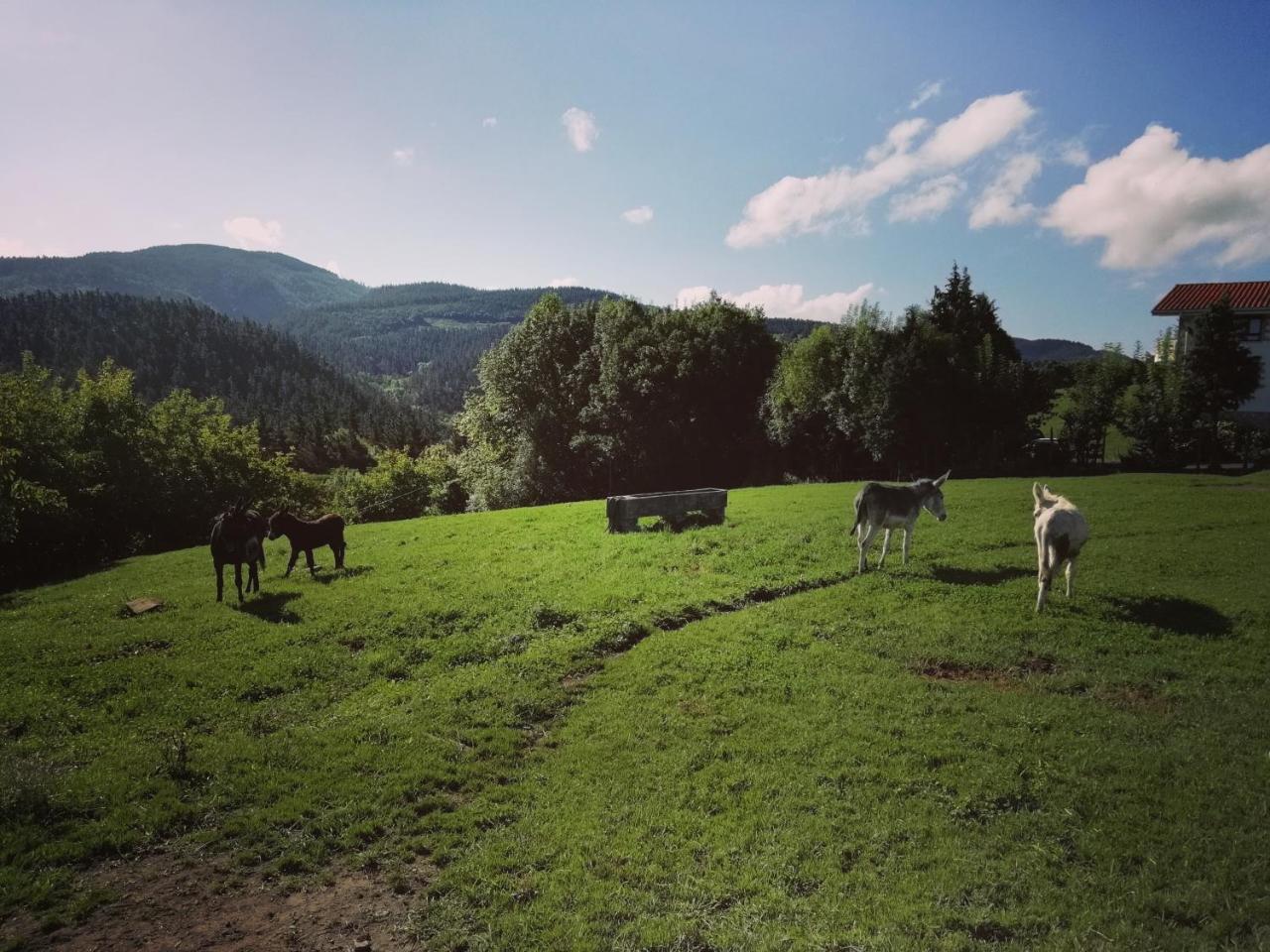 Agroturismo Pagoederraga Орио Экстерьер фото